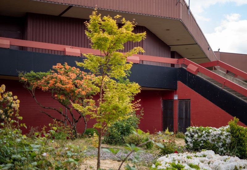 A red school building with a green tree in front, creating a welcoming outdoor space for students.