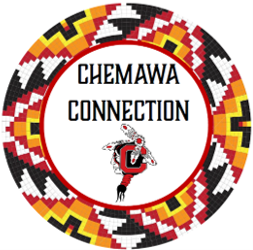 Connection Logo
