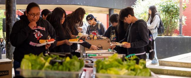 Students enjoy lunch outside at school.